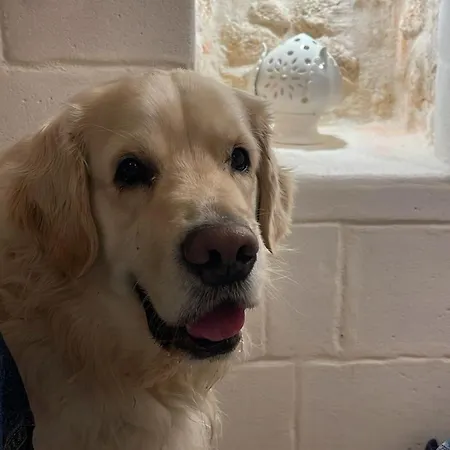 Bed and breakfast Atagio Luxury 4*